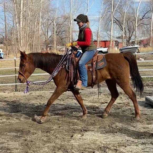 Meet your Posher, Brittany - Picture 2 of 16